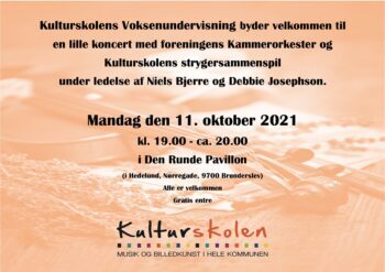 Koncert med Kammerorkester m.fl.