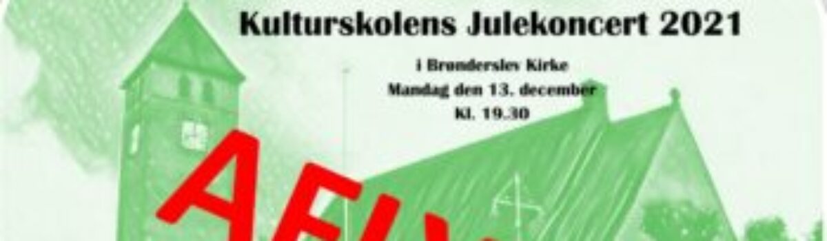 Julekoncert i Brønderslev Kirke